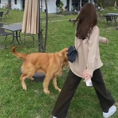 科西嘉兄弟