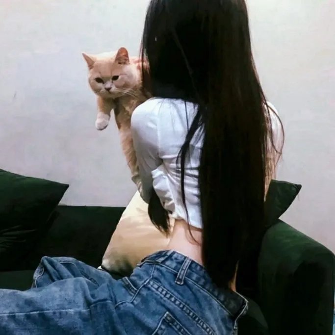 熊猫手札