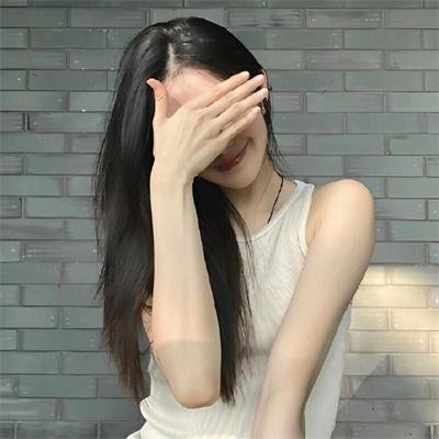 来自收容所的爱